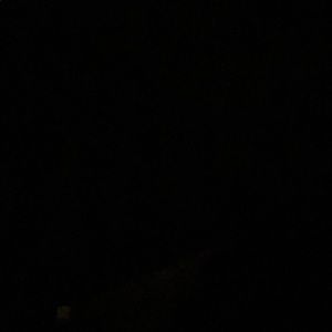 Meet your Posher, Abbie